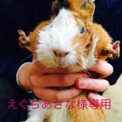 えぐちあさな様専用のサムネイル