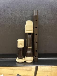 AULOS アルトリコーダー 309A 本体 ケース付き AULOS アルトリコーダー 309A 本体 ケース付き - メルカリ