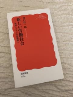 新しい労働社会 : 雇用システムの再構築へのサムネイル