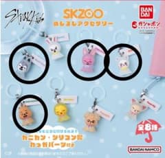 straykids SKZOO めじるしアクセサリー　4種セットのサムネイル