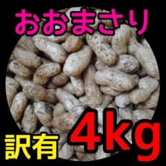 4kg 訳あり【おおまさり】生落花生 本場千葉県産※箱込み 104② - メルカリ
