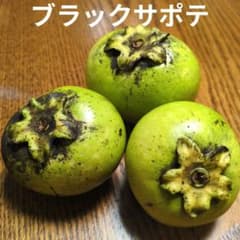 ブラックサポテ　3個 300gのサムネイル