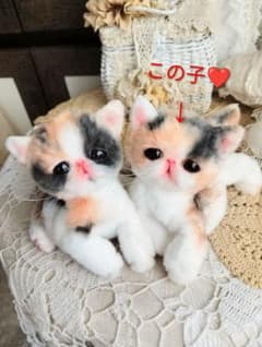 生後3週間♡まん丸ぽっちゃり♡エキゾ三毛柄子猫ちゃん♡アートドール