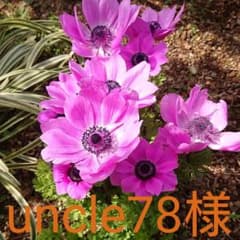 uncle78様専用ページのサムネイル