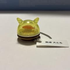 m74094966439_1.jpg?1771756399