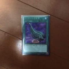 ハーピィの羽根箒のサムネイル