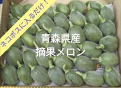 青森県産 摘果メロン(小さめ)のサムネイル