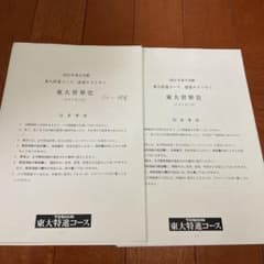 東大特進　世界史　テストゼミのサムネイル