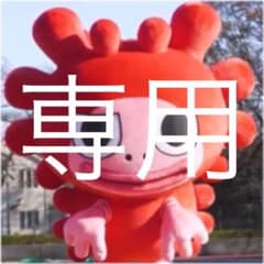 リューママ様　専用のサムネイル