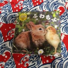 ふわもふ　写真集のサムネイル