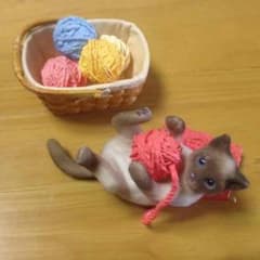 ぷちねこ日記 ⑤毛糸だいすき♪のサムネイル