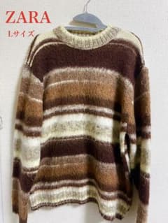 ZARA Lサイズ ブラウン系ストライプニットのサムネイル