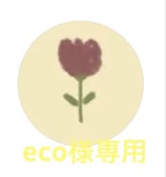 ラティアス イヤリング(eco様専用)のサムネイル