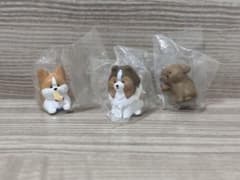 怒ったわんちゃあぁぁん　ガチャガチャセットのサムネイル