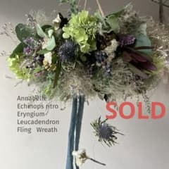 アナベルとルリタマアザミ、エリンジウムのフライングリース　リューカデンドロン アナベルとルリタマアザミ、エリンジウムのフライングリース リューカ