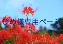 専用ページのサムネイル