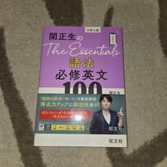 大学入試 関正生のThe Essentials 語法 必修英文100のサムネイル
