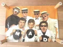 MADNESS マッドネス　ビンテージ　A1ポスター　2tone スカ　SKA MADNESS マッドネス ビンテージ A1ポスター 2tone スカ SKA - メルカリ