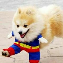 あ様専用マリオブラザーズ2のサムネイル