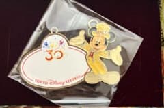ディズニー　ミッキー　ネーム　タグ　チャーム　キーチェーン　　３0周年
