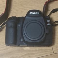 Canon EOS 5D Mark IV シャッター回数32,000回未満 - メルカリ