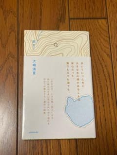 湖まで 大崎清夏 小説集のサムネイル