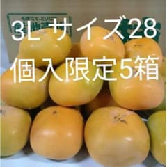 たねなし柿サイズ3L28個(家庭用)のサムネイル