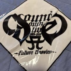 浜崎あゆみ　カウントダウンライブ　2008-2009、スポーツタオル、ポーチ m74150803556_1.jpg?1776054598