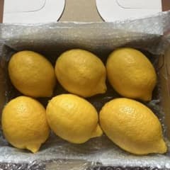 自家栽培　無農薬レモン④６コのサムネイル