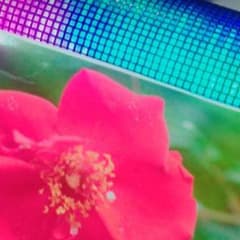 てつ様専用のサムネイル