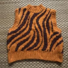 ZARA ゼブラ柄ニットベストのサムネイル