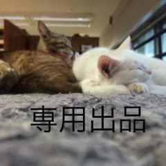 shochan様専用出品のサムネイル
