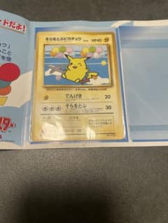 そらをとぶピカチュウ_ANA 「みんなにうれしいキャンペーン
