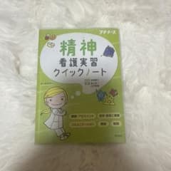 精神看護実習クイックノートのサムネイル