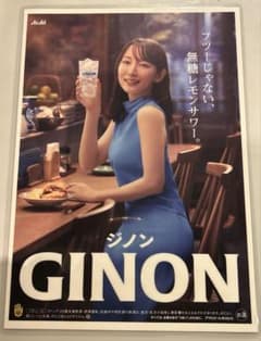 吉岡里帆アサヒGINON (ジノン) 『非売品』 A4サイズ - メルカリ