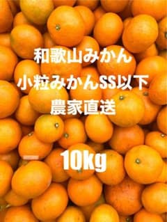 【農家直送】和歌山みかんのサムネイル