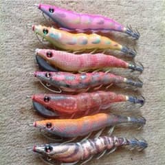 エギ 一番下のみのサムネイル