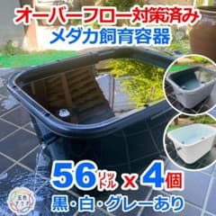 ☆超メル特価 メダカ飼育ケース 56㍑x4個 白黒灰あり オーバーフロー済