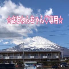 ☆さわわんちゃん♡専用☆のサムネイル