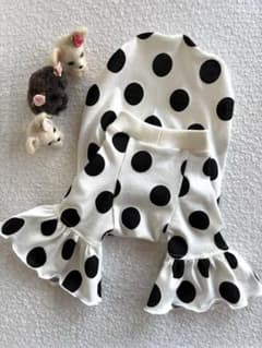 犬服 ラグラン(L) ꒡̈⃝Lily꒡̈⃝ハンドメイド - メルカリ