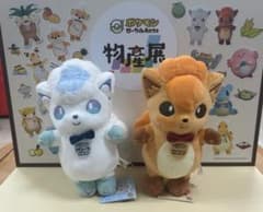 ポケモンローカルActs物産展ぬいぐるみ ロコン アローラロコン - メルカリ