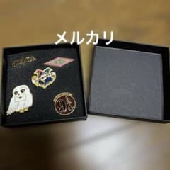 ハリー・ポッター ピンバッジのサムネイル