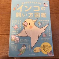 BIRDSTORYのインコの飼い方図鑑のサムネイル