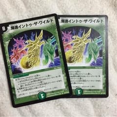 デュエマ イントゥ・ザ・ワイルド 2枚のサムネイル