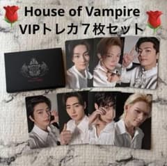 enhypen house of vampire トレカ PSL ENHYPEN HOUSE OF VAMPIRE DIVE INTO ENHYPEN CHRONICLE PHOTO