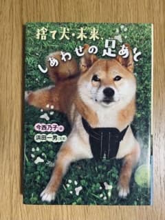 捨て犬・未来、しあわせの足あと 今西乃子のサムネイル