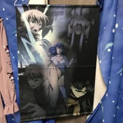 Fate/stay night 제1장 종반 이미지 키 비주얼풍 B2 태피스트리