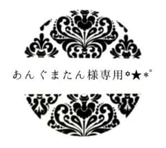 あんぐまたん様専用꙳★*゜のサムネイル