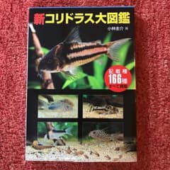 チャコリ様専用  新コリドラス大図鑑/小林 圭介のサムネイル