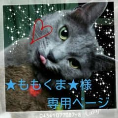 しがみつくにゃんこ＊*.のサムネイル